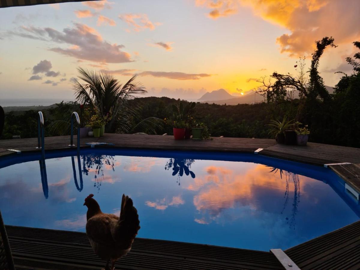 Chambre Chez L'Habitant Avec Piscine Privative Et Vue Panoramique Sur La Mer Des Caraibes Desmarinieres Экстерьер фото